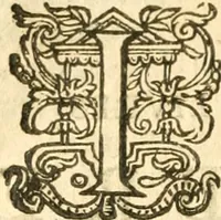 An illustration from L'arithmetiqve de Simon Stevin de Brvges (1625)