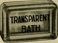 An illustration from Larkin factory-to-family plan, The (1915)