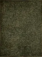 Picture 161 of 645 from Larkin factory-to-family plan, The (1915), leaf 79