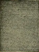 An illustration from Larkin factory-to-family plan, The (1915)