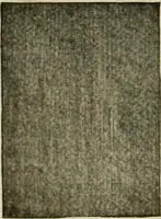 An illustration from Larkin factory-to-family plan, The (1915)
