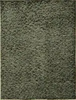 Picture 165 of 645 from Larkin factory-to-family plan, The (1915), leaf 79