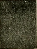 An illustration from Larkin factory-to-family plan, The (1915)