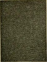 Picture 174 of 645 from Larkin factory-to-family plan, The (1915), leaf 80