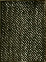 Picture 178 of 645 from Larkin factory-to-family plan, The (1915), leaf 81