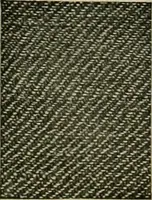 Picture 183 of 645 from Larkin factory-to-family plan, The (1915), leaf 81
