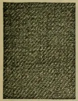 Picture 187 of 645 from Larkin factory-to-family plan, The (1915), leaf 82