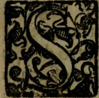 An illustration from La Roccella espvgnata di Francesco Bracciolini .. (1630)