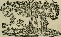 An illustration from La Rochelle. Av roy tres-chrestien Lovis le Ivste (1634)