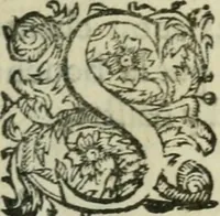 An illustration from La Rochelle. Av roy tres-chrestien Lovis le Ivste (1634)