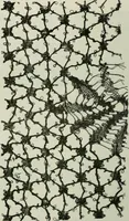 An illustration from L'art dans la parure et dans le vêtement (1875)