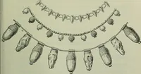 An illustration from L'art dans la parure et dans le vêtement (1875)