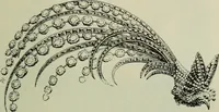 An illustration from L'art dans la parure et dans le vêtement (1875)
