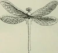 An illustration from L'art dans la parure et dans le vêtement (1875)
