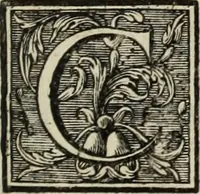 An illustration from L'art de bâtir des maisons de campagne : où l'on traite de leur distribution, de leur construction, & de leur decoration ... : avec l'explication de ses projets, et des desseins de menuiserie, de serrurerie, de parterres, & d'autres ornemens propres à la decoration intérieure & extérieure ... (1743)