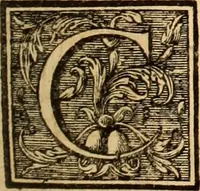 An illustration from L'art de bâtir des maisons de campagne : où L'on traite de leur distribution, de leur construction, & de leur decoration ... Avec l'explication de ces projets, et des desseins de menuiserie, de serrurerie, de parterres, & d'autres ornemens propres à la decoration intérieure & extérieure ... (1761)