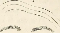 An illustration from L'art de connaitre les hommes par la physionomie (1806)