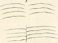 An illustration from L'art de connaitre les hommes par la physionomie (1806)