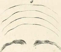 An illustration from L'art de connaitre les hommes par la physionomie (1806)