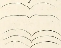 An illustration from L'art de connaitre les hommes par la physionomie (1806)