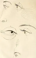 An illustration from L'art de connaitre les hommes par la physionomie (1806)