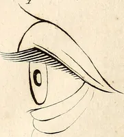 An illustration from L'art de connaitre les hommes par la physionomie (1806)