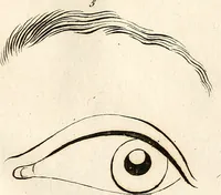 An illustration from L'art de connaitre les hommes par la physionomie (1806)