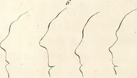 An illustration from L'art de connaitre les hommes par la physionomie (1806)