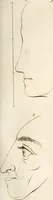 An illustration from L'art de connaitre les hommes par la physionomie (1806)