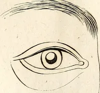 An illustration from L'art de connaitre les hommes par la physionomie (1806)