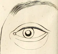 An illustration from L'art de connaitre les hommes par la physionomie (1806)