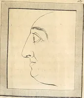 An illustration from L'art de connaitre les hommes par la physionomie (1806)