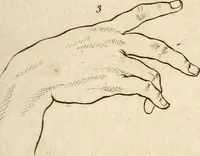 An illustration from L'art de connaitre les hommes par la physionomie (1806)
