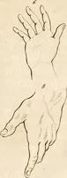 An illustration from L'art de connaitre les hommes par la physionomie (1806)