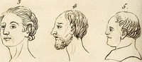 An illustration from L'art de connaitre les hommes par la physionomie (1806)