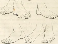 An illustration from L'art de connaitre les hommes par la physionomie (1806)