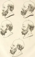 An illustration from L'art de connaitre les hommes par la physionomie (1806)