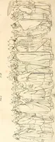 An illustration from L'art de connaitre les hommes par la physionomie (1806)