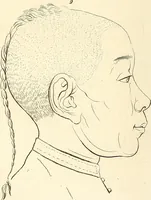 An illustration from L'art de connaitre les hommes par la physionomie (1806)