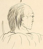 An illustration from L'art de connaitre les hommes par la physionomie (1806)