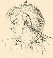 An illustration from L'art de connaitre les hommes par la physionomie (1806)