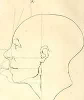 An illustration from L'art de connaitre les hommes par la physionomie (1806)