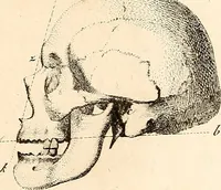 An illustration from L'art de connaitre les hommes par la physionomie (1806)