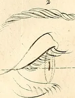 An illustration from L'art de connaitre les hommes par la physionomie (1806)