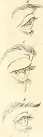 An illustration from L'art de connaitre les hommes par la physionomie (1806)