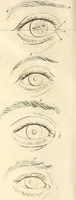 An illustration from L'art de connaitre les hommes par la physionomie (1806)