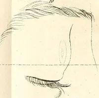 An illustration from L'art de connaitre les hommes par la physionomie (1806)