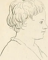 Picture 34 of 164 from L'art de connaitre les hommes par la physionomie (1806), leaf 146