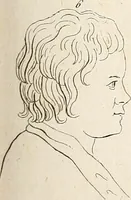 Picture 37 of 164 from L'art de connaitre les hommes par la physionomie (1806), leaf 146