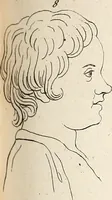 Picture 39 of 164 from L'art de connaitre les hommes par la physionomie (1806), leaf 150
